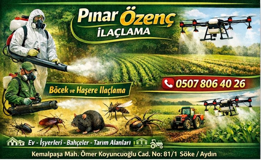 söke böcek ilaçlama